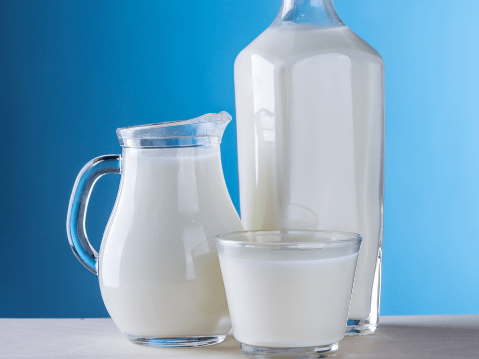 i latticini sono la base della dieta kefir